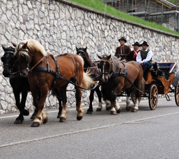 Senza Confini Umzug 2015