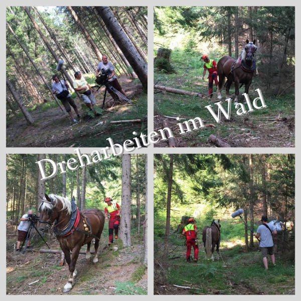 Filmreihe Geschmack Europas