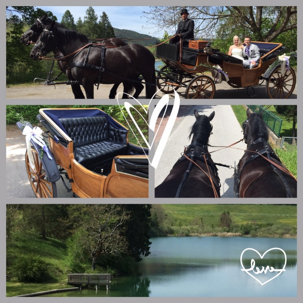 Hochzeit am Kraigersee